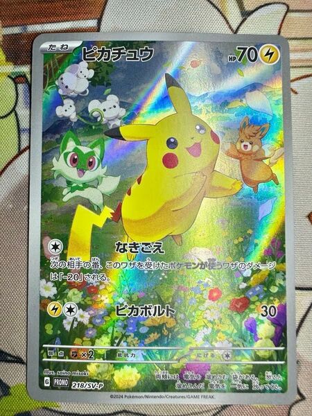 【専用】ピカチュウ ポケカの夏がキタ プロモカードGetキャンペーン 2枚