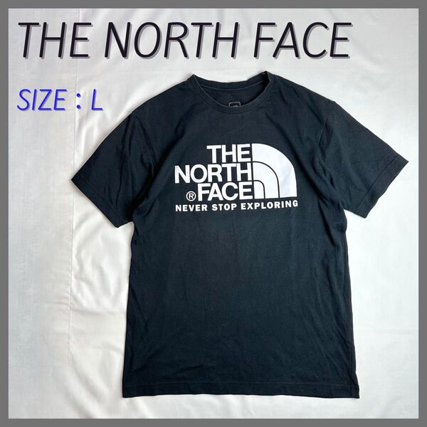 THE NORTH FACE ザノースフェイス 半袖 プリントTシャツ 黒ブラック Lサイズ