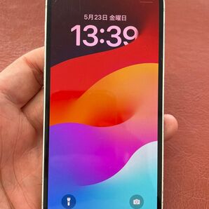iPhone 12 mini 256G SIMフリー
