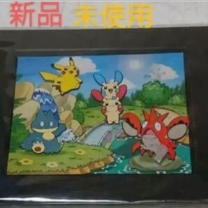 ポケモン ジオラマピンズセット ピンズ アニメ ポケットモンスター 限定 レア 非売品 入手困難 ピカチュウ マイナン プラスル
