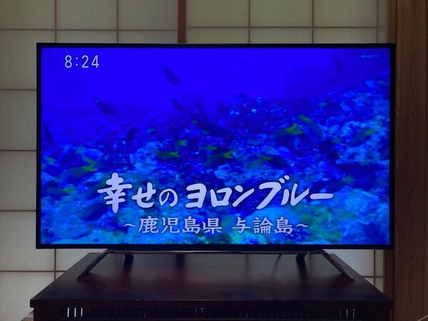 REGZA 4K 50インチ テレビ 50Z20X TOSHIBA 東芝 50型