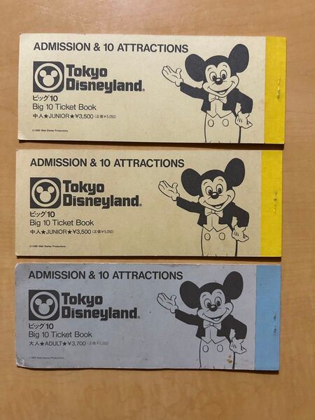 東京ディズニーランド ビッグ10チケット