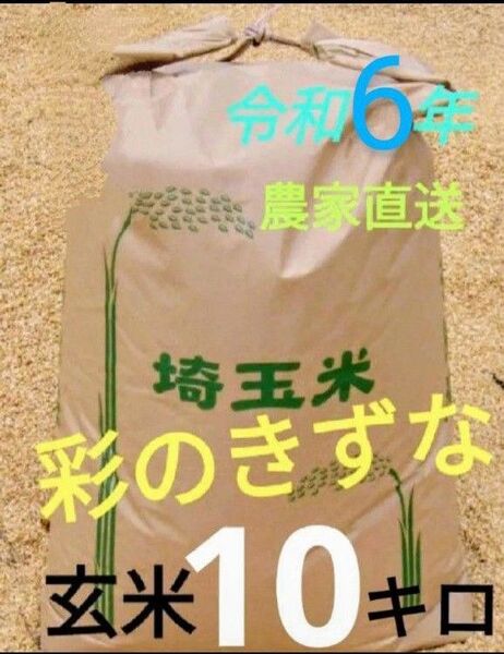 令和6年! 埼玉県産 彩のきずな 玄米 10キロ