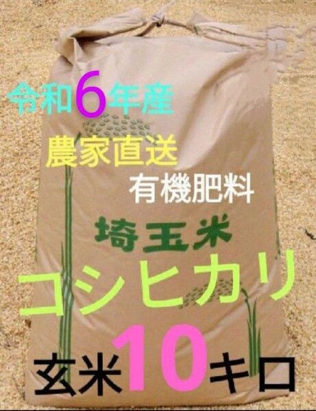 令和6年! 有機肥料使用 埼玉県産 コシヒカリ 玄米 10キロ