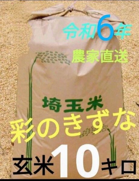 令和6年! 埼玉県産 彩のきずな 玄米 10キロ