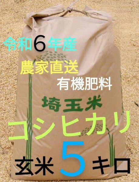 令和6年! 有機肥料使用 埼玉県産 コシヒカリ 玄米 5kg
