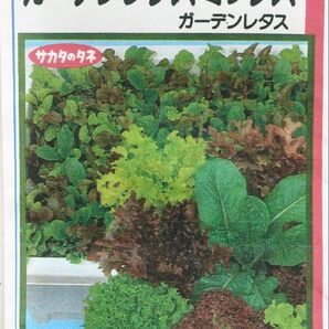 手軽に楽しめるガーデンレタスミックス種子