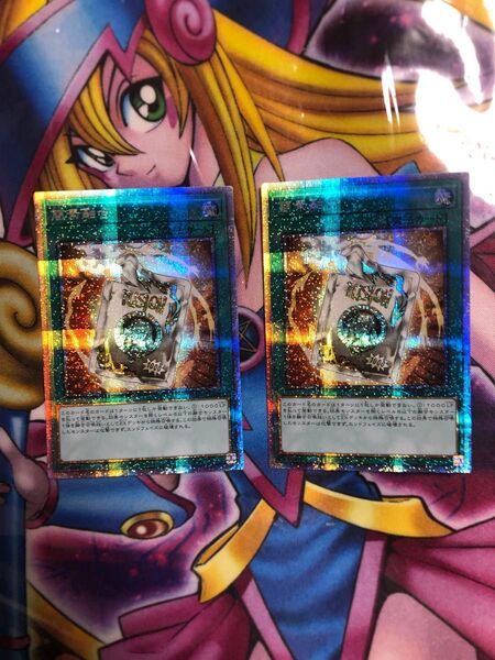 簡素融合 レトルトフュージョン プリズマ 2枚セット