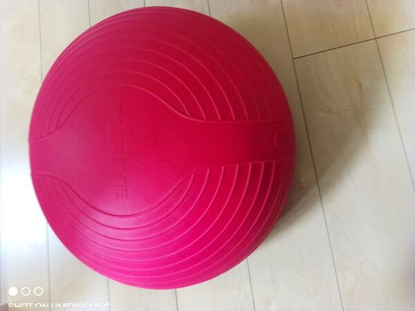 TOEI LIGHT バランスパッド レッド