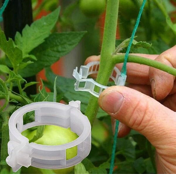 農業支柱クリップ つるクリップ 園芸植物 花束 枝クリップ 50個セット 繰り返し使用可能 新品未使用