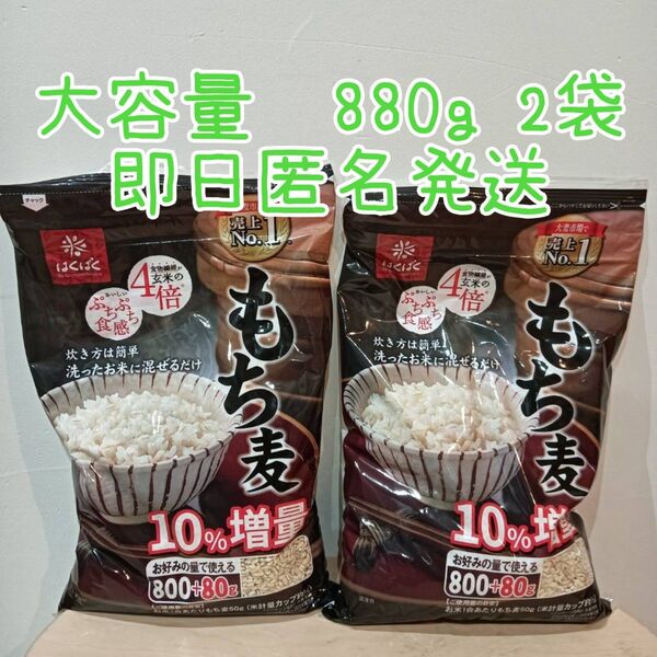 はくばく もち麦 880g 2袋セット 食物繊維 健康 ダイエット