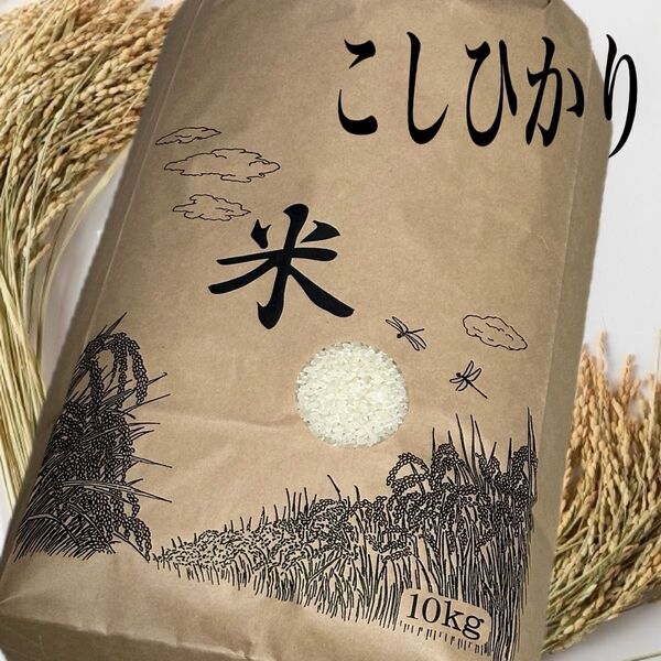 こしひかり 10kg鳥取県産米 6年度 精米5月上旬となります。