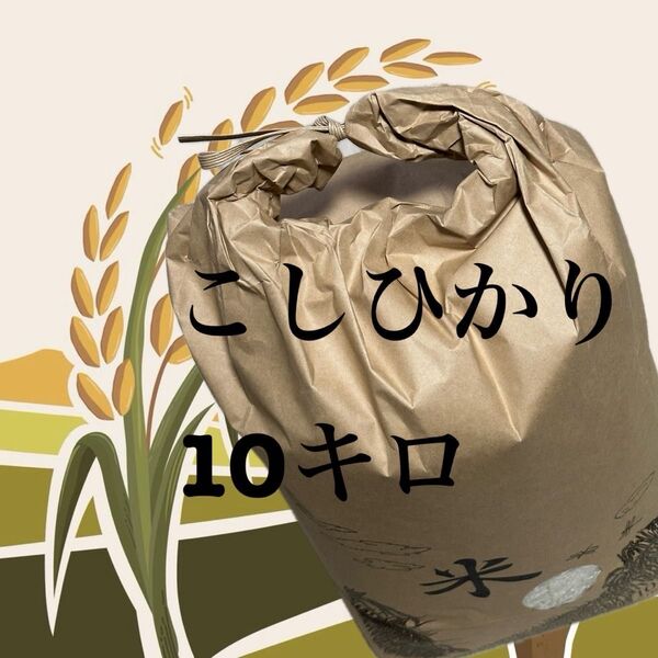 令和6年度産5月初旬精米コシヒカリ10kg