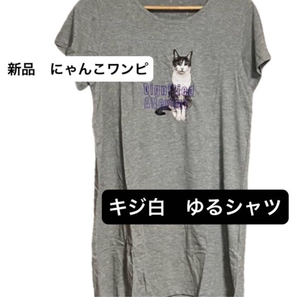 新品 ゆるシルエットTシャツ 新品 ゆったり 猫 イラスト キジ白 ミニワンピ にゃんこ cat ワンピース カジュアル 推し