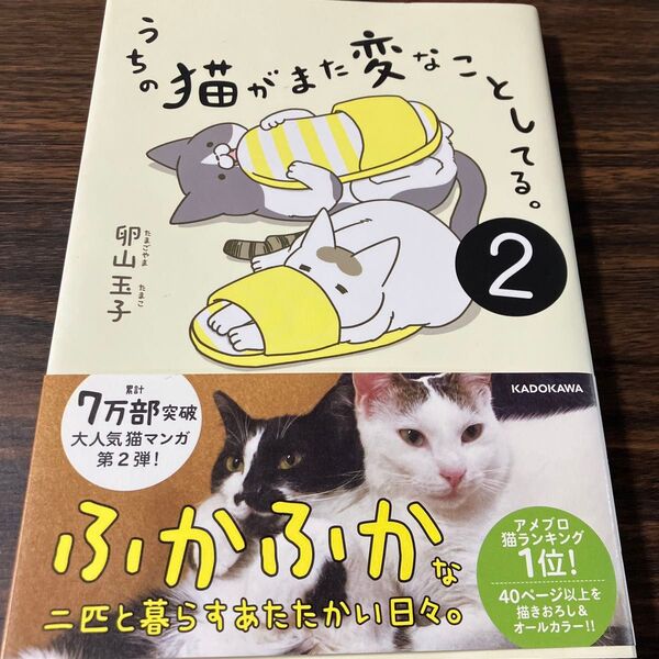 うちの猫がまた変なことしてる。 2 (メディアファクトリーのコミックエッセイ) 卵山玉子/著 漫画 マンガ コミック cat にゃ