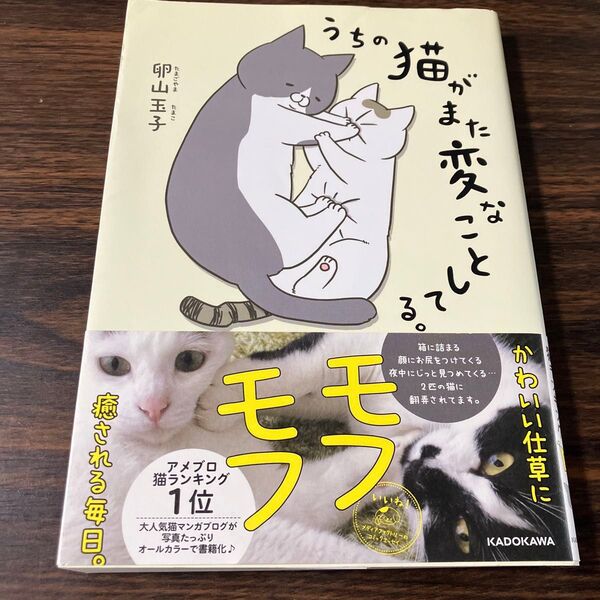 うちの猫がまた変なことしてる。 (メディアファクトリーのコミックエッセイ) 卵山玉子/著 漫画 マンガ ねこ にゃんこ cat