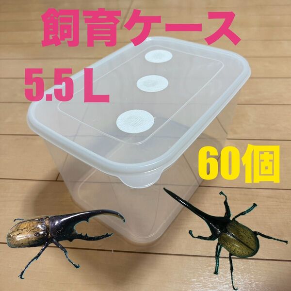 飼育ケース 飼育コンテナ 5.5L 外国産カブトムシ 幼虫飼育 メガフードコンテナ 60個セット ヘラクレス ヘラクレスオオカブト