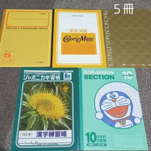 ノートまとめ売り ジャポニカ学習帳 漢字練習張120字 ドラえもん カロリーメイト 10ミリ方眼 5ミリ方眼 小学生 学習ノート