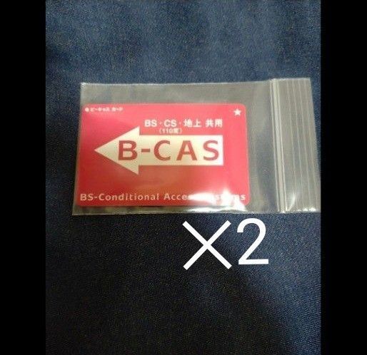 カード サイズ ケース チャック付き 保存袋 ポリ袋 ビニール袋 小袋 2枚