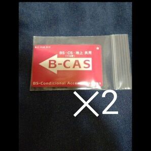 カード サイズ ケース チャック付き 保存袋 ポリ袋 ビニール袋 小袋 2枚