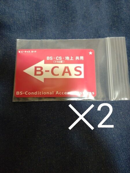 カード サイズ ケース チャック付き 保存袋 ポリ袋 ビニール袋 小袋 2枚