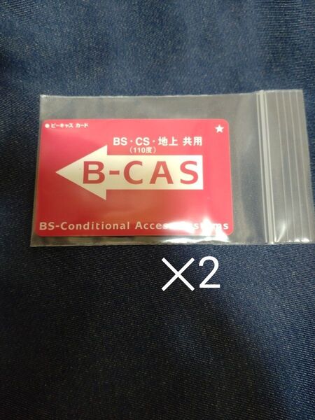 カード サイズ ケース チャック付き 保存袋 ポリ袋 ビニール袋 小袋 2枚