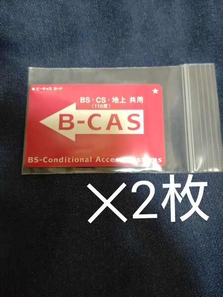 カード サイズ ケース チャック付き 保存袋 ポリ袋 ビニール袋 小袋 2枚