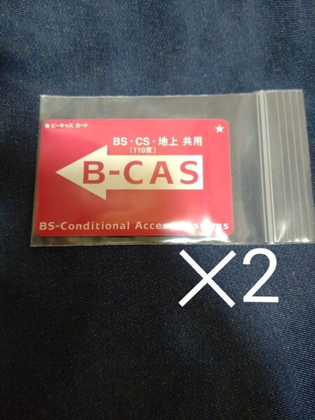 カード サイズ ケース チャック付き 保存袋 ポリ袋 ビニール袋 小袋 2枚
