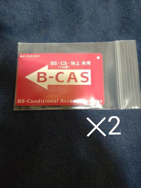 カード サイズ ケース チャック付き 保存袋 ポリ袋 ビニール袋 小袋 2枚