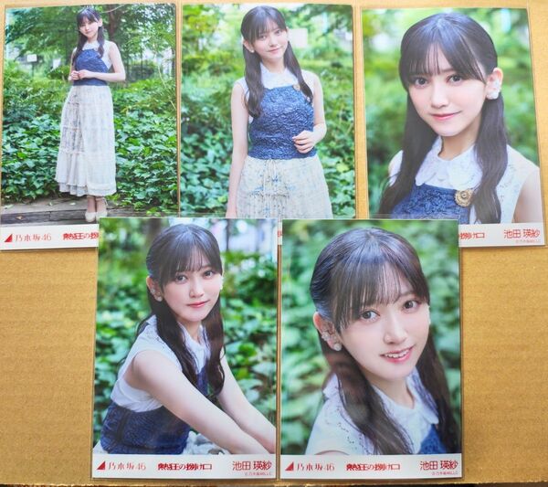 乃木坂46 池田瑛紗 生写真 熱狂の捌け口 5種コンプ