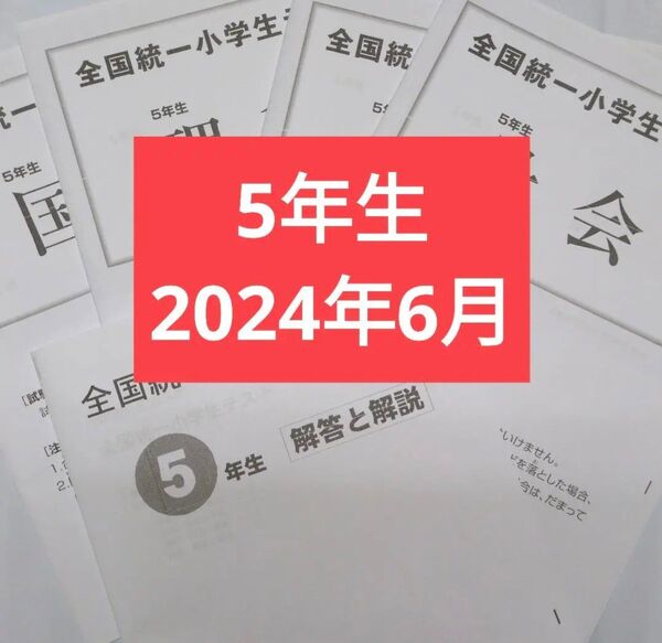全国統一小学生テスト5年生1期分