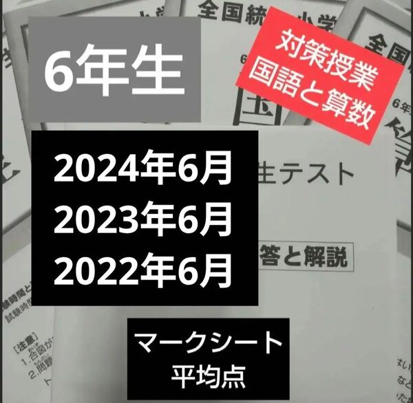 全国統一小学生テスト6年生
