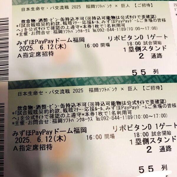 6/12ソフトバンク×巨人戦 A指定席通路側2枚セット!!