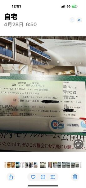 カープ対福岡ソフトバンクホークス戦 6/18 チケット