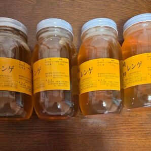国産純粋れんげ蜂蜜1キロ4本