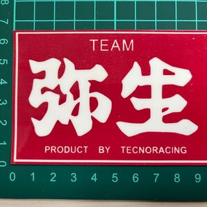 TEAM弥生・ステッカー・Big ラミネートUV加工済耐光性OK!