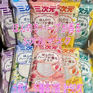 三次元マスクほんのりハーブが香るマスク メイクがおちにくいマスク 5枚入 5種×各2袋(50枚)【新品・未使用】