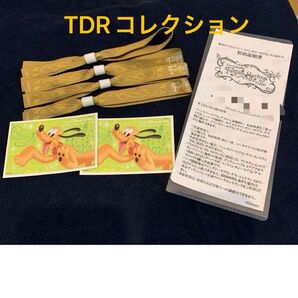 コレクション用 使用済みディズニーファンタジースプリング入場限定 入場チケット専用クリアポケット付き リボンタグホテル宿泊証明書