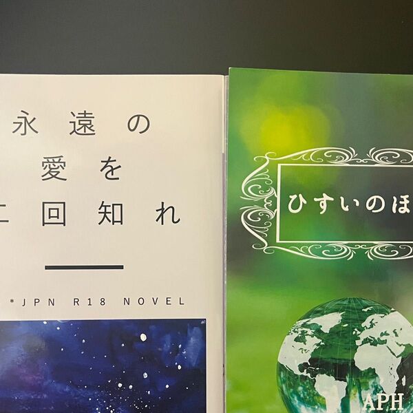 ヘタリア 朝菊 英日 アサキク 同人誌 まとめ売り