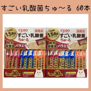 9 いなば チャオ すごい乳酸菌ちゅ~る 総合栄養食バラエティ 60本 ciaoちゅ〜る チャオちゅーる キャットフード 猫