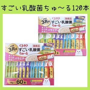 43 猫おやつ いなば チャオ すごい乳酸菌 ちゅーる まぐろ・かつお・チキン 2箱分 120本 ciaoちゅ〜る チャオちゅーる