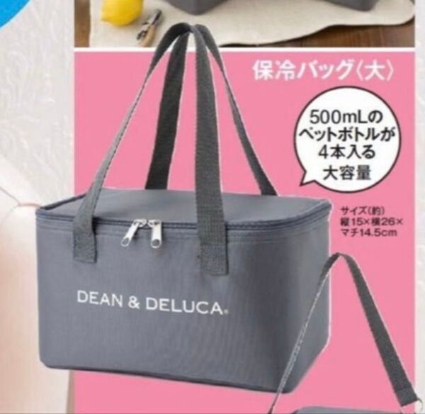 DEAN & DELUCA 保冷バッグ エコバッグ ディーン&デルーカ