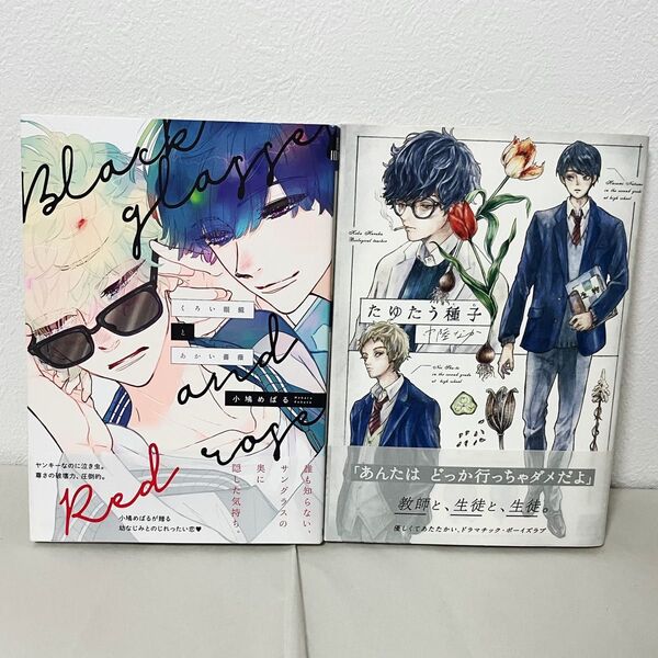 【BL漫画】小鳩めばる先生 中陸なか先生 2冊セット