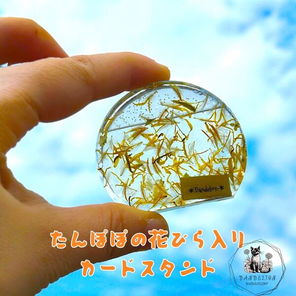 たんぽぽの花びら入り カードスタンド 楕円形 名刺立て インテリア アイキャッチ ハンドメイド 2液性レジン 黄色 透明