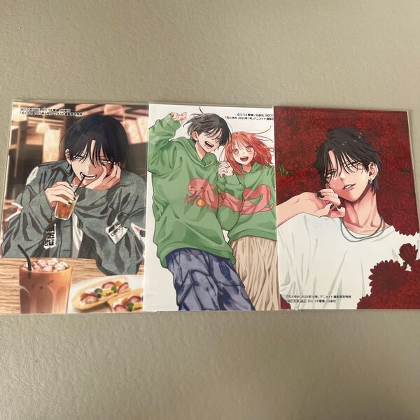 春の嵐とモンスター ミユキ蜜蜂 アニメイトオンライン特典 ブロマイド