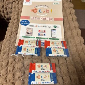 噛もっと!ガム