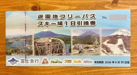 富士急ハイランドフリーパス3枚