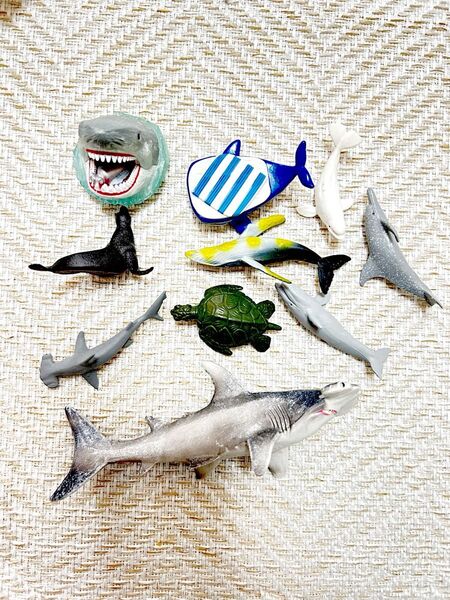 海の生き物 まとめ売り フィギュア 美品