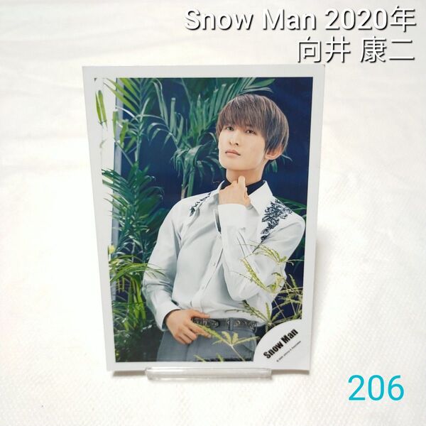 【206】 Snow Man 公式写真 向井康二 スノーマン 2020年