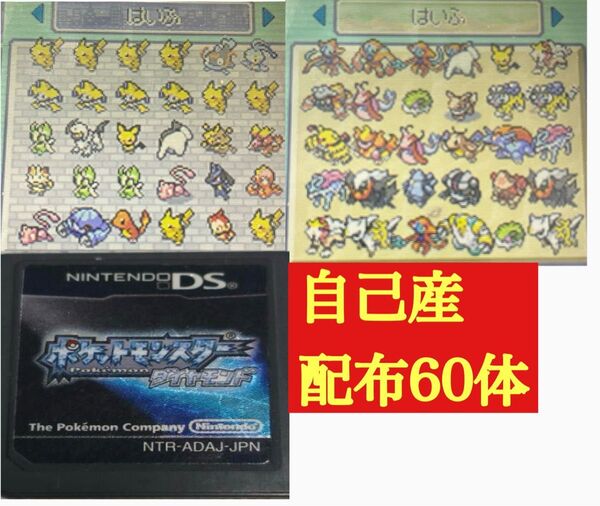 ポケットモンスターダイヤモンド自己産配布 配信ポケモン60枚付き